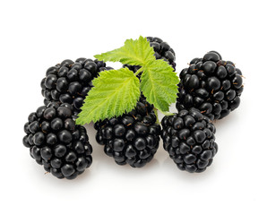 Pile of fresh and ripe blackberries with leaves isolated on a white background