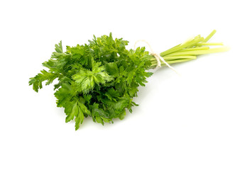 Bunch of fresh green curly parsley. Isolated on white background