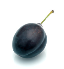 One dark plum plum isolated on a white background.