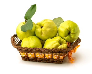 Fresh ripe yellow quinces with leaves in wooden basket isolated on white background