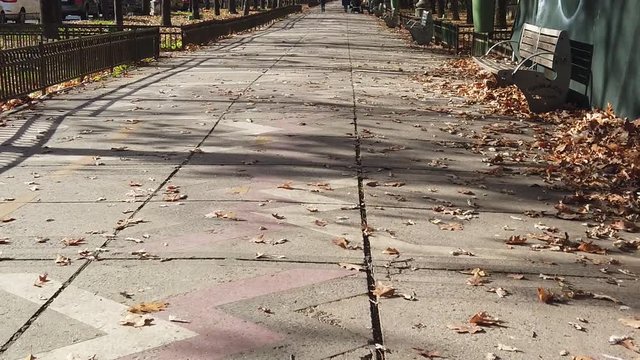 Dry leaves on autumn, fallen on the sidewalk and stored by the wind in corners and margins.