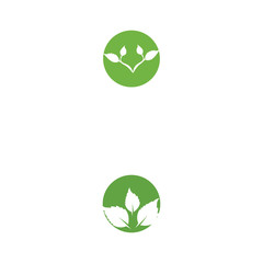 Leaf Logo Template vector symbol