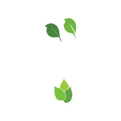 Leaf Logo Template vector symbol