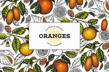 Citrus fruits design template. Hand drawn vector color fruit illustration. Engraved style frame. Vintage citrus banner.