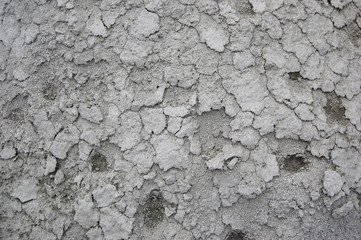 Ukrainian soil.Grungy arid land texture. Grey cracked floor surface. Ecological problem. Near Kiev,Ukraine