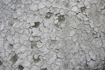 Ukrainian soil.Grungy arid land texture. Grey cracked floor surface. Ecological problem. Near Kiev,Ukraine
