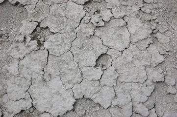 Ukrainian soil.Grungy arid land texture. Grey cracked floor surface. Ecological problem. Near Kiev,Ukraine