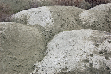 Ukrainian soil.Grungy arid land texture. Grey cracked floor surface. Ecological problem. Near Kiev,Ukraine