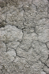 Ukrainian soil.Grungy arid land texture. Grey cracked floor surface. Ecological problem. Near Kiev,Ukraine