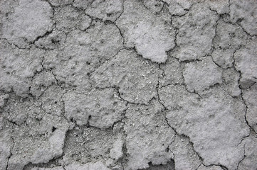 Ukrainian soil.Grungy arid land texture. Grey cracked floor surface. Ecological problem. Near Kiev,Ukraine