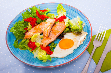 Light dietary breakfast of trout fillet