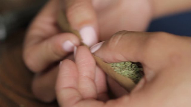 Rolling a marijuana blunt