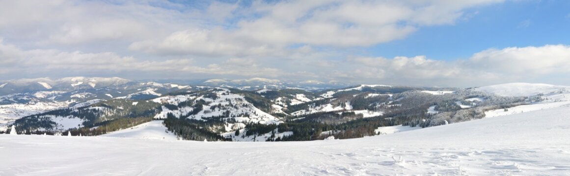 Panoramic photo of a mountain forest in winter