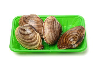Stacked fresh raw clams on white background