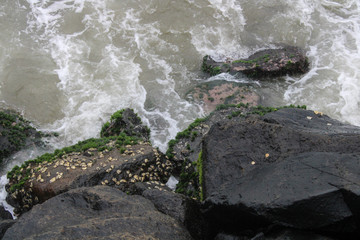 This is a picture of a rock beach.