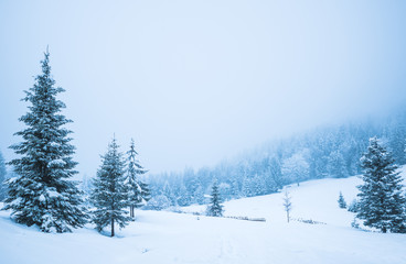 Beautiful panorama of fences