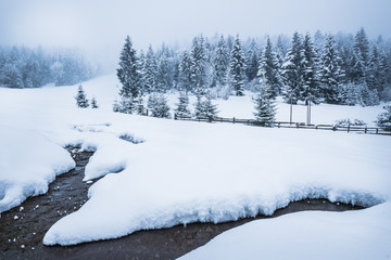 Beautiful snow panorama of a snowdrift