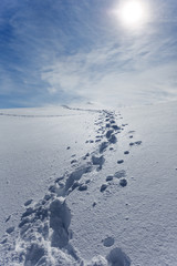 seul mes traces dans la neige