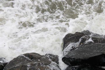 Fototapeta premium This is a picture of a rock beach.