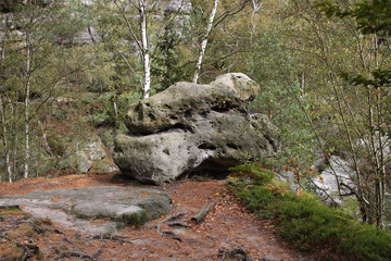 Fototapeta na wymiar Felsen im Elbsandsteingebirge