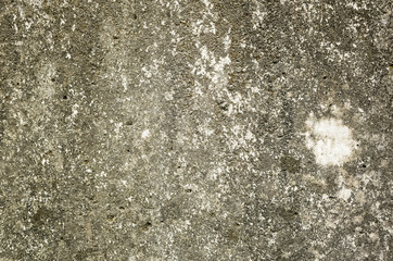 mildewed wall background