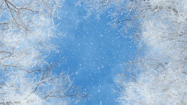 Winter Background Animation Loop