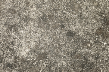 mildewed wall background