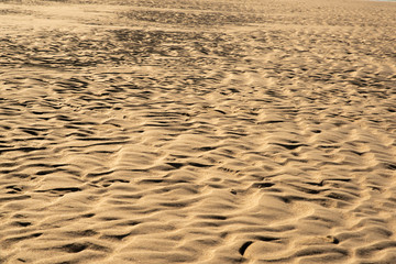 파도가 만든 모래 해변위 패턴