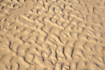 파도가 만든 모래 해변의 패턴