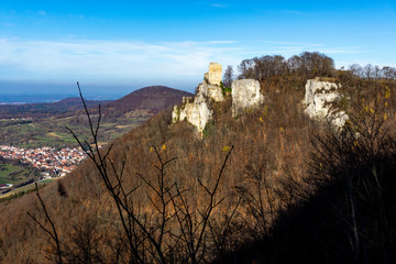 Fototapete bei efototapeten.de bestellen   