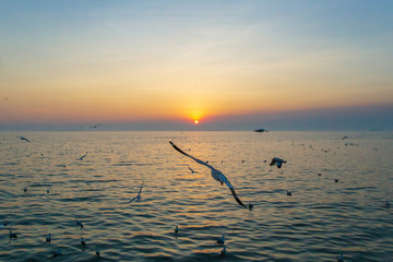 Sunset or evening time with golden sky at sea or ocean with cargo ship and seagull bird flying at Bang poo, Samutprakan, Thailand.