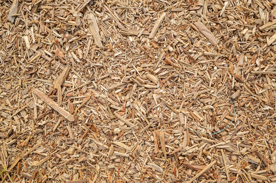 wooden and lumber sawdust