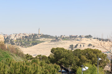 Fototapeta na wymiar Panorama of east Jerusalem with Mount of Olives, Israel
