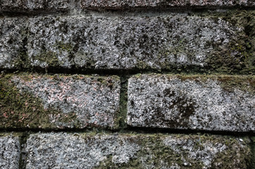 rough stone brick wall with lichen and moss