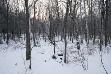 Winter Scenery of Forest, River and Lakes with Ice and snow at Dusk in Changbai Mountain, Jilin Province, China