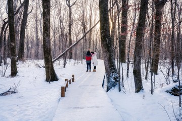 A couple walking on the snowfield in the forest in winter