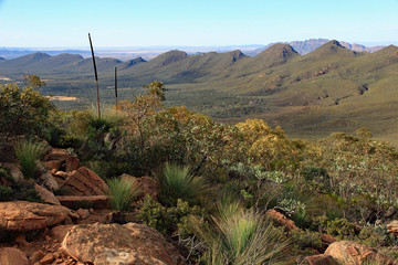 Twisted and folded ancient rocks of the Flinders Ranges, South Australia, viewed from the top of St Mary&rsquo;s Peak on a sunny spring morning