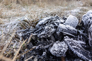 Burnt logs of an old bonfire covered with hoarfrost and ice crystals. Beautiful abstract background.