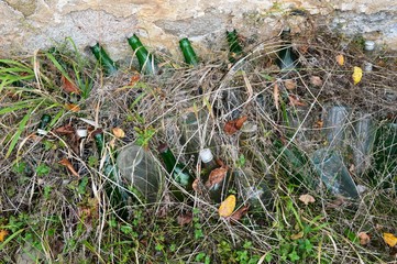 glass bottles in the grass