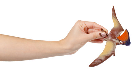 Flying dinosaur toy, rubber pterodactyl for game. Isolated on white. © Sviatoslav Kovtun