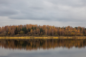 Fototapeta na wymiar The autumn forest is reflected in the calm water of the river in the autumn cloudy day.