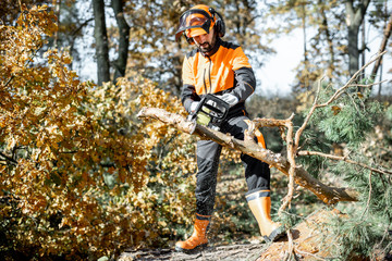 Lumberman in protective workwear sawing with a chainsaw branches from a tree trunk in the forest....