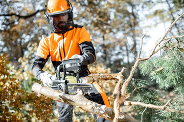 Lumberman in protective workwear sawing with a chainsaw branches from a tree trunk in the forest....