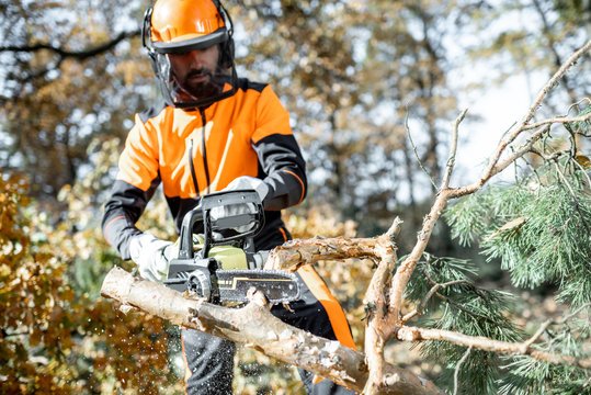 Lumberman in protective workwear sawing with a chainsaw branches from a tree trunk in the forest. Concept of a professional logging
