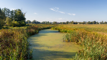 Narwiański Park Narodowy, Rzeka Narew w Surażu, Podlasie, Polska © podlaski49