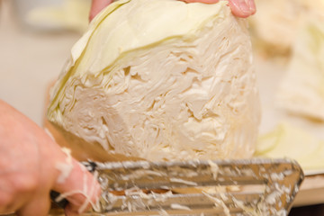 chop cabbage. harvesting cabbage. homemade blanks. a lot of cabbage close-up. cut the camouflage.