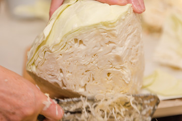 chop cabbage. harvesting cabbage. homemade blanks. a lot of cabbage close-up. cut the camouflage.