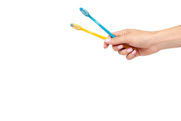 Hand with color toothbrush, dental care and freshness.