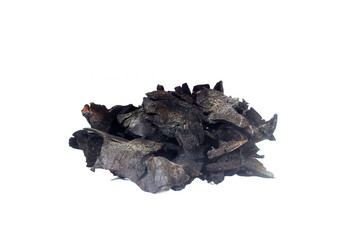 Coconut Shell Charcoal on white background.(with Clipping Path).