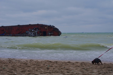 industrial ship wreck on a city beach. shipwreck on the beach.